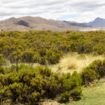 Uyuni - Visão da estrada