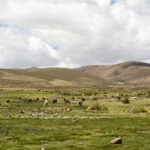 Uyuni - Visão da estrada