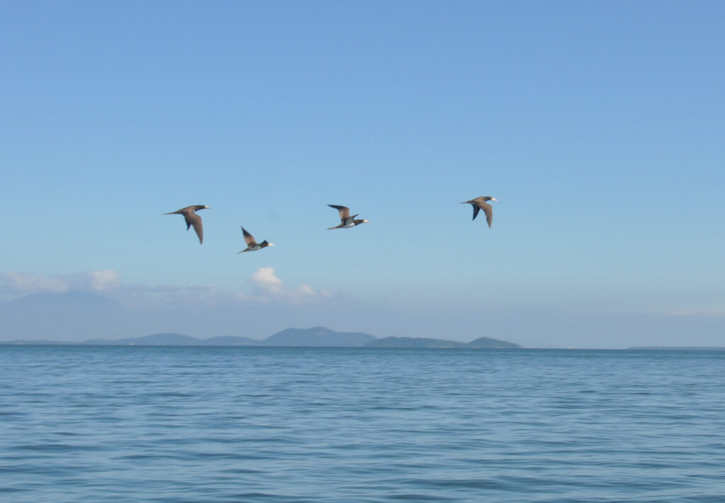 Travessia Pontal do Paraná para Ilha do Mel